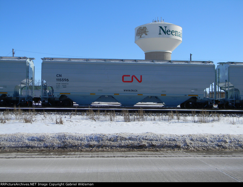 CN 115596 is new to RRPA!